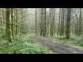 Yamaha raptor 350 top speed fmf slip on