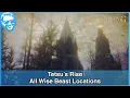 Tetsu s Rise Solution - All 3 Wise Beast Locations