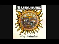 Sublime- Badfish