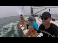 The Hook Race 2020