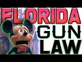 Florida Gun Law 2025 NEED TO KNOW YOUR RIGHTS