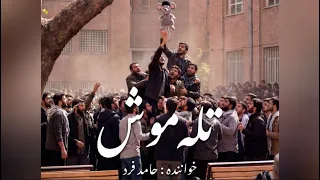 حامد فرد   تله موش                           دندنها