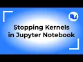 How to Stop Kernels in Jupyter Notebook The Right Way