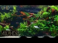 Download Lagu [Cropped] Calms Mind | Aquascape • Fixed 3hours 4K HDR 60fps • Water sound