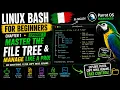 Linux Bash Tutorial for Beginners Chapter 1 Episode 7 tree File System File Management