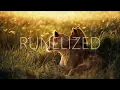 Peter Bradley Adams - The Longer I Run