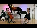Haydn Piano Trio No. 39 in G major 3rd movement