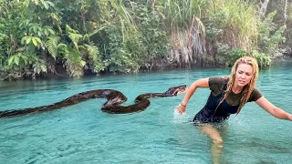 Wenn wilde Tiere viel zu nahe kommen