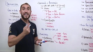 Perito PC-SP - Local de Crime | Profº Pedro Canezin - SmartPol