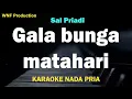 Sal Priadi - Gala bunga matahari (Karaoke Nada Pria)