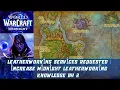 Leatherworking Services Requested increase Midnight Leatherworking Knowledge by 2 Crafting Order