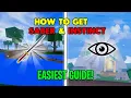 EASY Guide for Saber and Instinct in Blox Fruits
