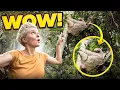 Download Lagu I Camped at the Best SLOTH SPOTTING Location - EP.366