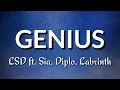 Download Lagu LSD - Genius (Lyrics) ft. Sia, Diplo, Labrinth (Tik Tok Glow Up)