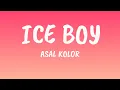 Iceboy( lyrics) | Asal kolor | malyalam song ♥️