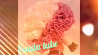 كتبو كتابك شريف إسماعيل دندنها