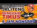Download Lagu SUARA JANGKRIK TERBARU 2024 PENGUSIR TIKUS, DIJAMIN AMPUH DAN TIKUS KABUR❗ 8 JAM NONSTOP❗❗❗