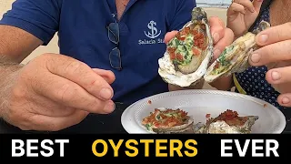 BEST EVER OYSTERS [Ep 133] Sailing Salacia Star