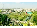 Best rooftop garden - over 400 different plants on one roof in Bangkok