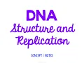 Unit 4 Genetics Concept 1 Notes UPDATED
