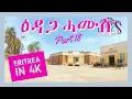Download Lagu Eritrea in 4K UHD 2019 PART 18 ASMARA, EDAGA HAMUS - ኣስመራ ዕዳጋ ሓሙስ