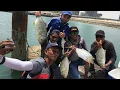 Download Lagu 1st Open Sea trip with MANTA MALAYA