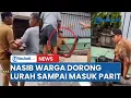 Download Lagu Nasib Warga yang Nekat Dorong Lurah di Medan Timur Sampai Masuk Parit, Terancam Dipenjara