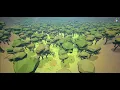 The Corrupted Forest Prefab Placement