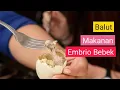 Makanan Ekstrem Filipina