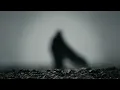 Only I Will Remain (Calming Version) [1 Hour] - Dune: Part Two - Hans Zimmer