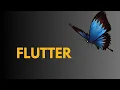 What Does flutter Means Meanings And Definitions With flutter in learn ENGLISH