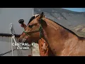 Riding My Wild Mustang for the First Time!
