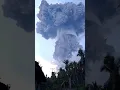 Download Lagu terbaru, Jamur Abu Vulkanik Gunung Lewotobi