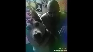 اغنية خليك رايق للرابر السوري فولكينو ام سي    دندنها