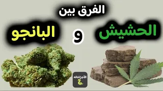 البانجو   الفرق بين البانجو والحشيش  وأيهما أخطر وأكثر ضررا    الأجزاخانه دندنها