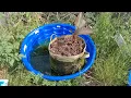Upgraded wick hydroponic system