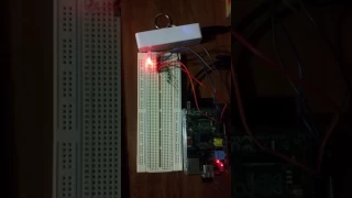 Raspberry Pi GPIO Test LED blink