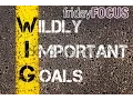 Friday Focus Ep 53 WIG Wildly Important Goal