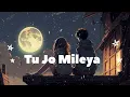 Tu Jo Mileya (Lo-Fi) 8D Audio: Juss X MixSingh | New Punjabi Song 2024 | LO-FI FRIDAY