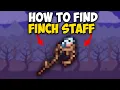 How To Get Finch Staff in Terraria Terraria Finch Staff 1 4 4 9
