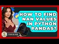 How To Find NaN Values In Python Pandas - Python Code School