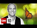 The tiny tech revolutionizing what we know about butterflies January 28 2026