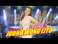 Download Lagu Dini Kurnia - Jodho Wong Liyo (Official Music Video ANEKA SAFARI)
