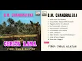(Full Album) Elvy Sukaesih \u0026 OM Chandraleka # Cerita Lama
