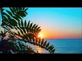 Download Lagu Malino - Lily Of The Valley (Hawaiian Reggae)