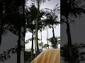 Download Lagu tik tok pemain dari jendela smp(1)