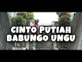 Cinto Putiah Babungo Ungu Anroys (Cover Safrizal)