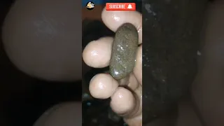 اغرب الاحجار في رحلة البحث عن الاحجار الكريمه والكنوز 