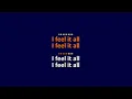Feist - I Feel It All - Karaoke Instrumental Lyrics - ObsKure