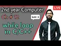 Loop Structure in in While loop